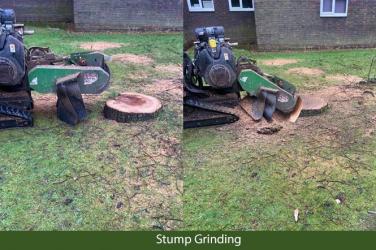 Stump Grinding